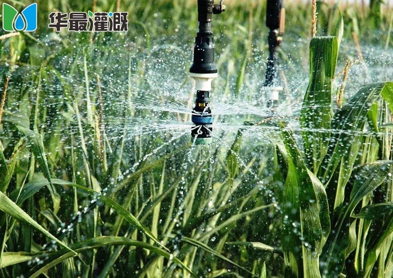 現(xiàn)代化灌溉特征