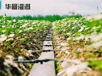 我國滴灌技術的發(fā)展經歷了哪些階段