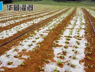 滴灌帶施工安裝的注意事項(xiàng)