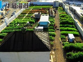 什么是滴灌系統(tǒng)的自動化控制
