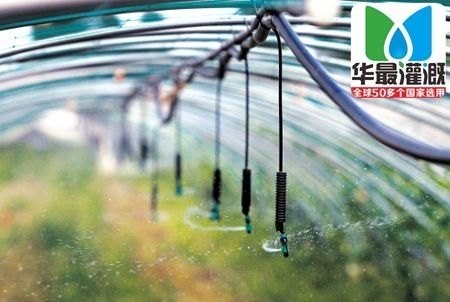 大棚噴灌設(shè)備