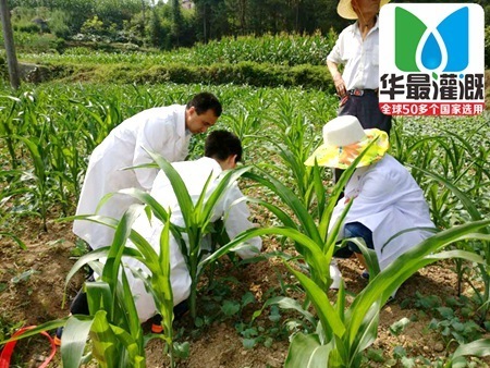 灌溉水質(zhì)監(jiān)測