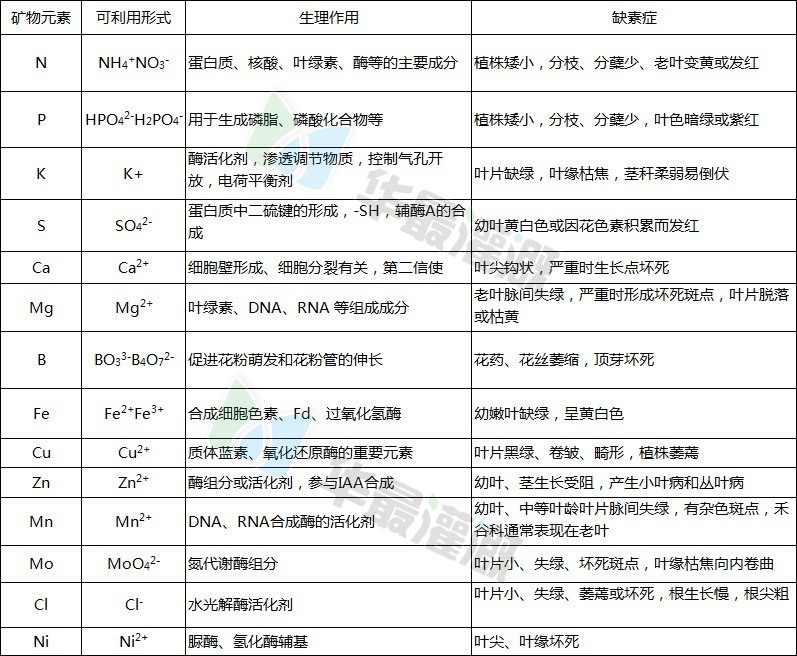 作物對各種元素的需求以及短缺癥狀