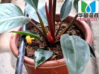 怎樣判斷農(nóng)田是否適合使用壓力補(bǔ)償?shù)晤^