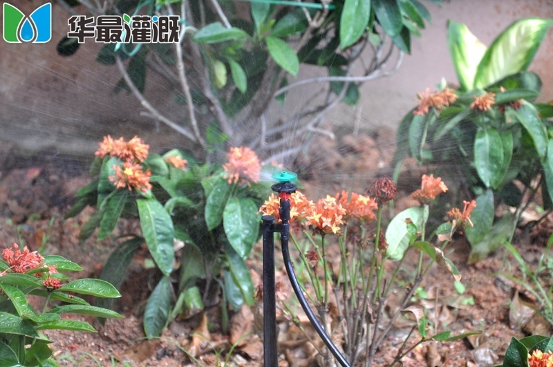 地插式微噴頭應(yīng)用