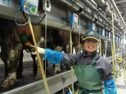 我國(guó)正在利用以色列的制度建立自己的乳制品行業(yè)
