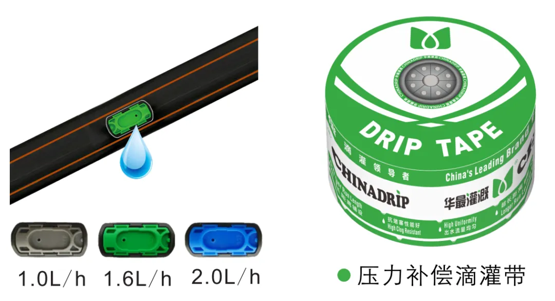 灌溉管網(wǎng)設(shè)計(jì)與布置